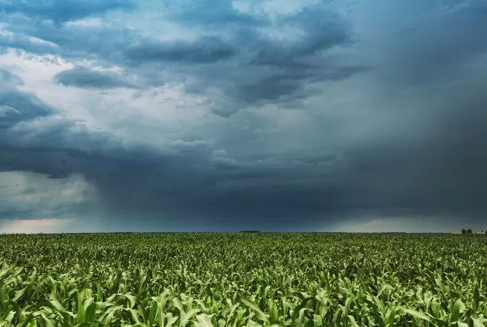 El Niño exige planejamento financeiro reforçado para produtores na safra 2026/27