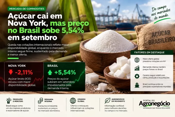 Açúcar cai em Nova York, mas preço no Brasil sobe 5,54% em setembro