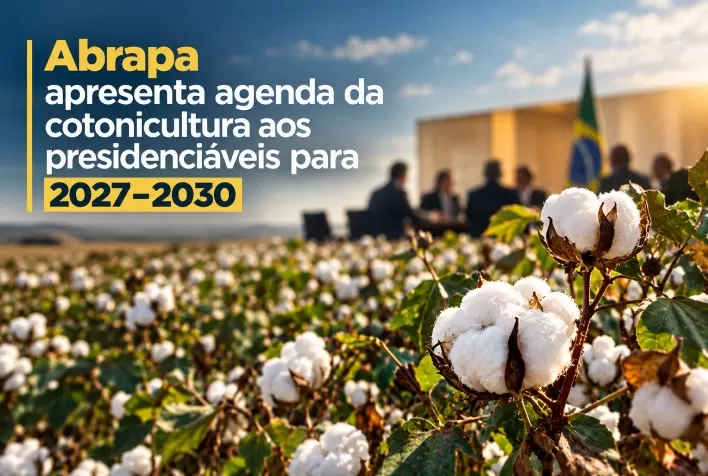 Abrapa apresenta agenda da cotonicultura aos presidenciáveis para 2027–2030