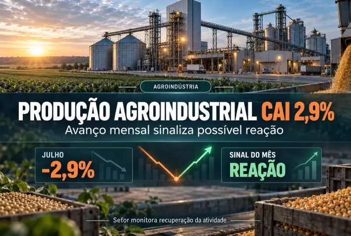 Produção agroindustrial cai 2,9% em julho, mas avanço mensal sinaliza possível reação