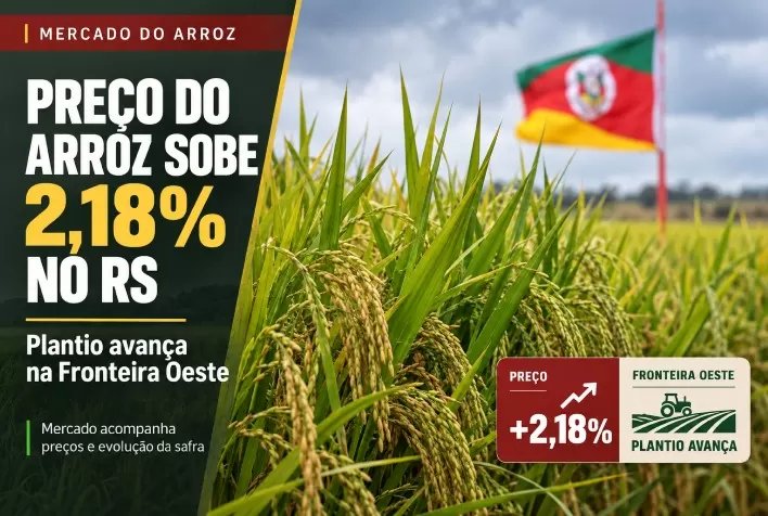 Preço do arroz sobe 2,18% no RS enquanto plantio avança na Fronteira Oeste