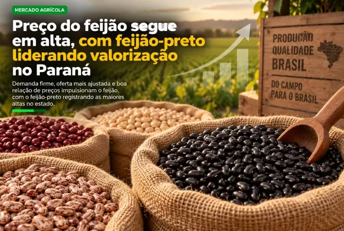 Preço do feijão segue em alta, com feijão-preto liderando valorização no Paraná