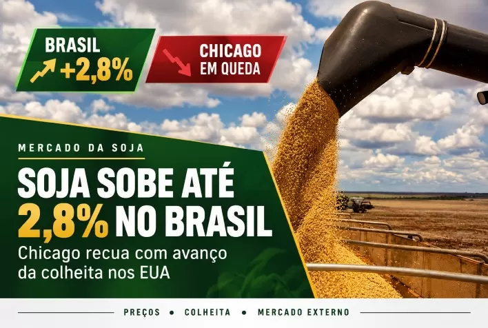 Soja sobe até 2,8% no Brasil, mas Chicago recua com avanço da colheita nos EUA