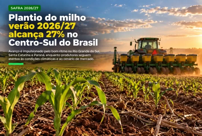Plantio do milho verão 2026/27 alcança 27% no Centro-Sul do Brasil