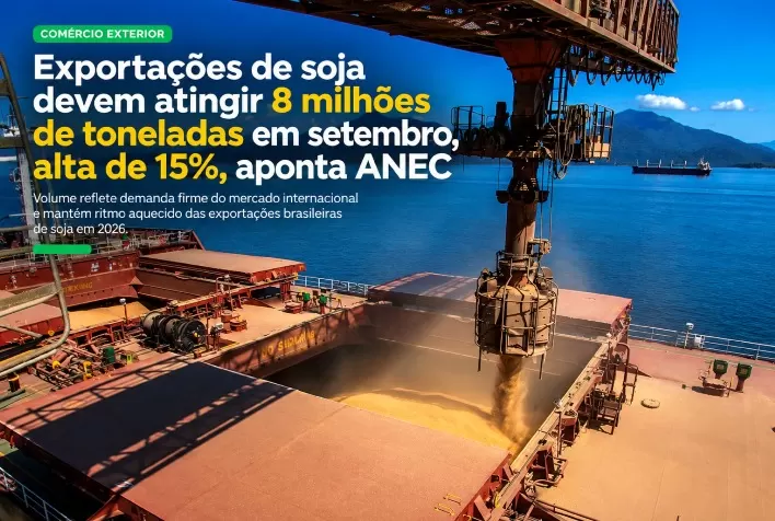 Exportações de soja devem atingir 8 milhões de toneladas em setembro, alta de 15%, aponta ANEC