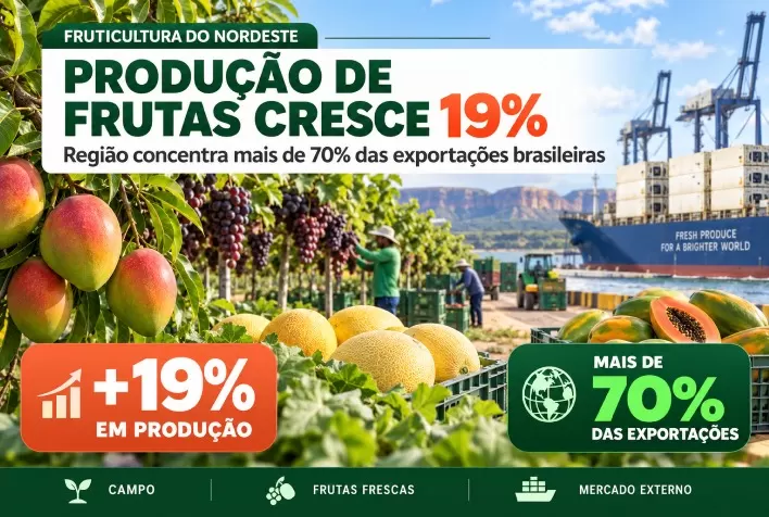 Produção de frutas no Nordeste cresce 19% e região concentra mais de 70% das exportações brasileiras