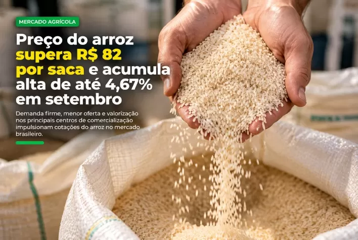 Preço do arroz supera R$ 82 por saca e acumula alta de até 4,67% em setembro