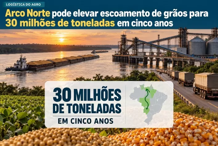 Arco Norte pode elevar escoamento de grãos para 30 milhões de toneladas em cinco anos