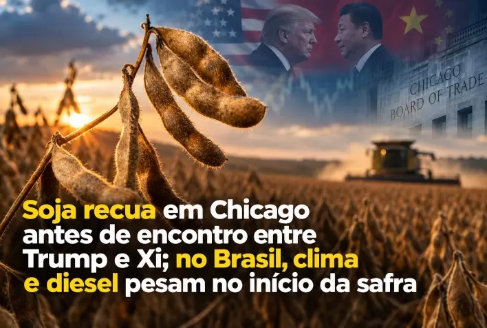 Soja recua em Chicago antes de encontro entre Trump e Xi; no Brasil, clima e diesel pesam no início da safra