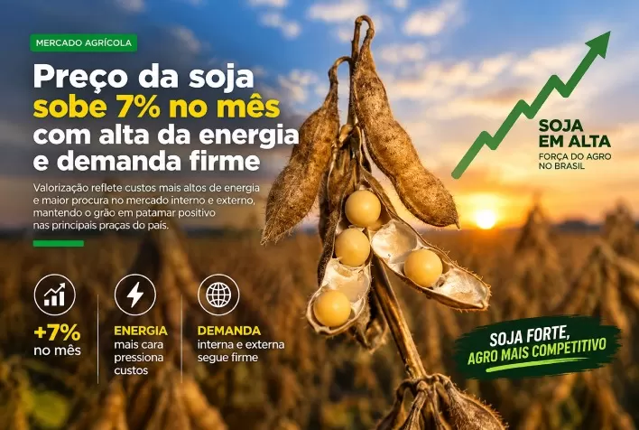 Preço da soja sobe 7% no mês com alta da energia e demanda firme