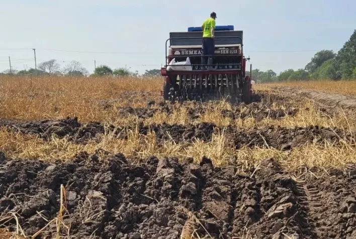 Abertura da Colheita do Arroz 2027 terá vitrine com soja, milho, girassol e sorgo