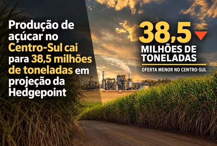 Produção de açúcar no Centro-Sul cai para 38,5 milhões de toneladas em projeção da Hedgepoint
