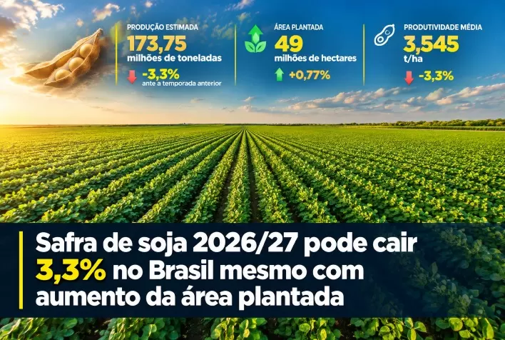 Safra de soja 2026/27 pode cair 3,3% no Brasil mesmo com aumento da área plantada