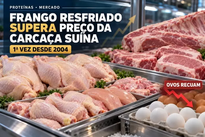 Frango resfriado supera preço da carcaça suína pela primeira vez desde 2004; ovos recuam