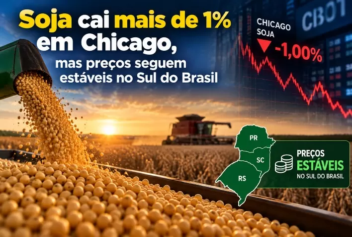 Soja cai mais de 1% em Chicago, mas preços seguem estáveis no Sul do Brasil