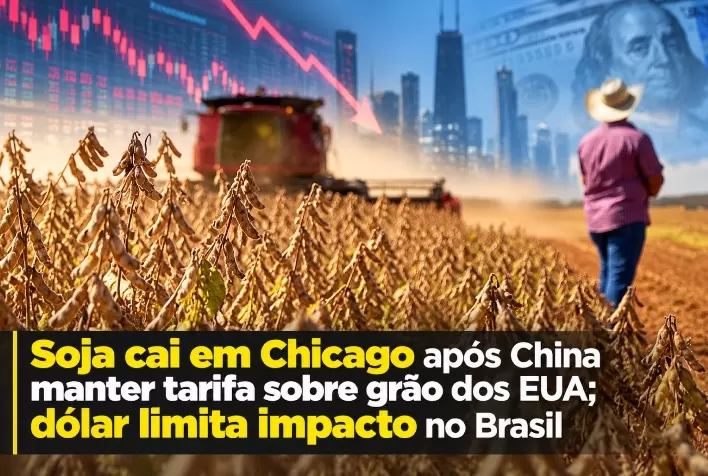 Soja cai em Chicago após China manter tarifa sobre grão dos EUA; dólar limita impacto no Brasil