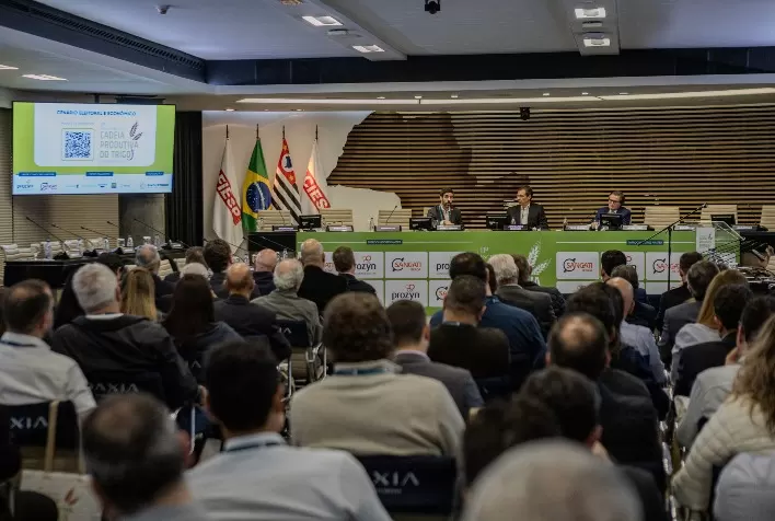 Clima reduz safra de trigo no Brasil e pode elevar importações para perto de 9 milhões de toneladas