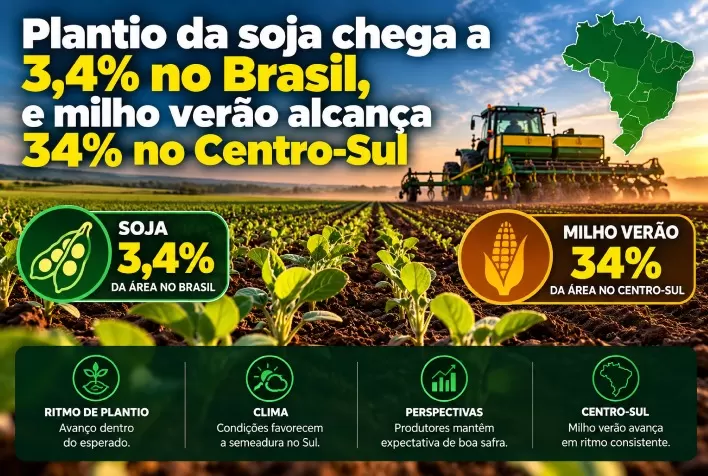 Plantio da soja chega a 3,4% no Brasil, e milho verão alcança 34% no Centro-Sul