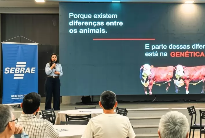 Qualidade da carne começa na escolha de reprodutores e matrizes, destaca encontro no Paraná