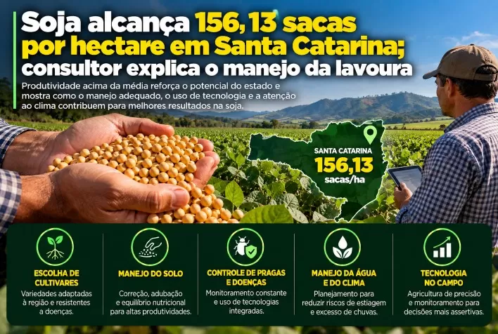 Soja alcança 156,13 sacas por hectare em Santa Catarina; consultor explica o manejo da lavoura