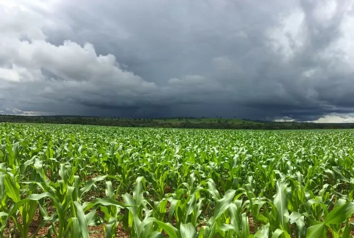 El Niño eleva risco climático para a safra 2026/27 e exige atenção do agronegócio