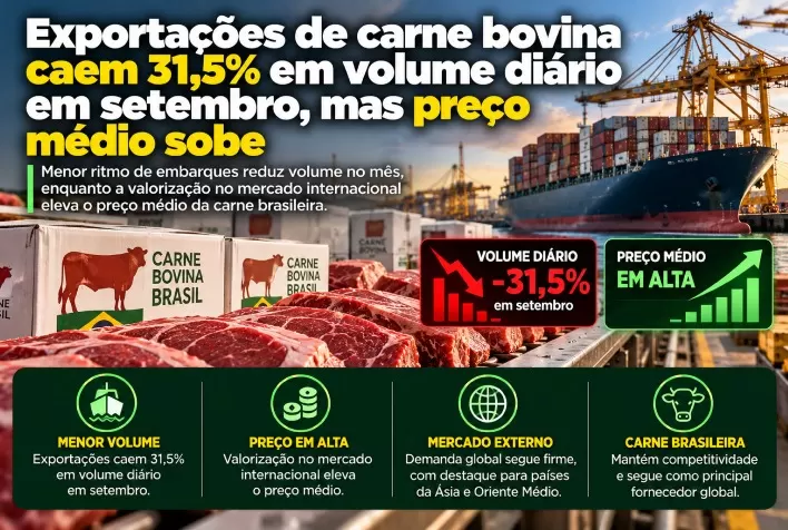 Exportações de carne bovina caem 31,5% em volume diário em setembro, mas preço médio sobe