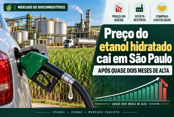 Preço do etanol hidratado cai em São Paulo após quase dois meses de alta