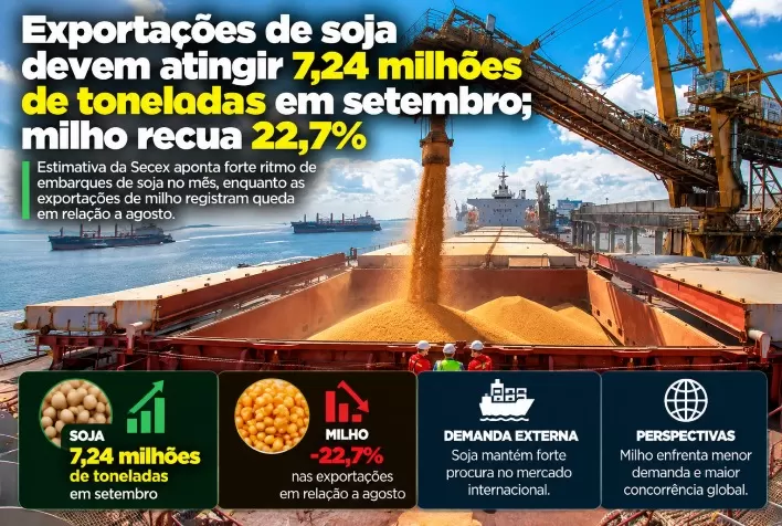 Exportações de soja devem atingir 7,24 milhões de toneladas em setembro; milho recua 22,7%