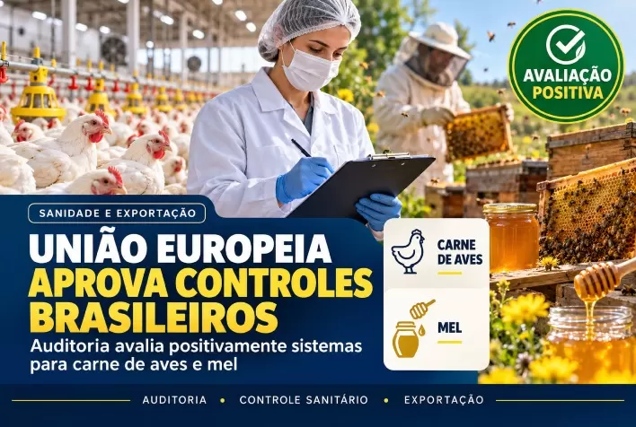 Auditoria da União Europeia avalia positivamente controles brasileiros para carne de aves e mel