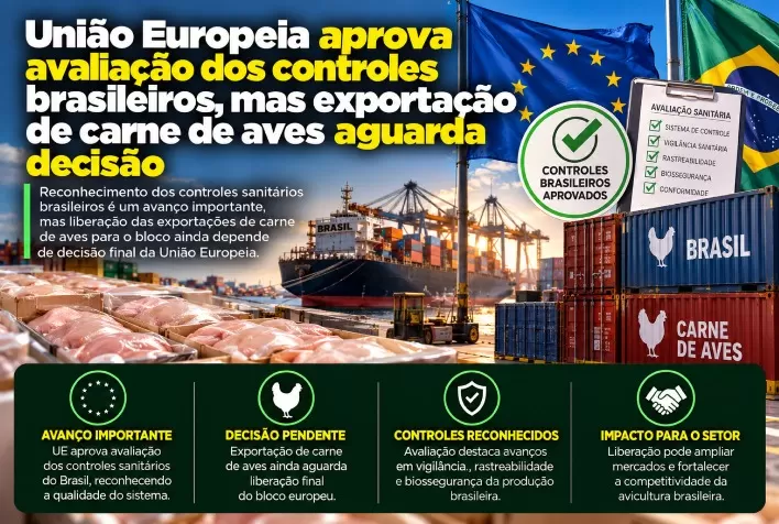 União Europeia aprova avaliação dos controles brasileiros, mas exportação de carne de aves aguarda decisão