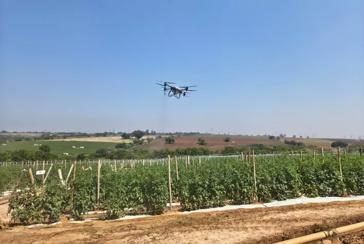 Drones na lavoura de tomate: IAC e Irmãos Andrade avaliam aplicação de agroquímicos