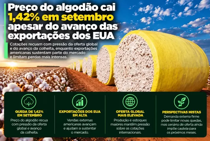 Preço do algodão cai 1,42% em setembro apesar do avanço das exportações dos EUA