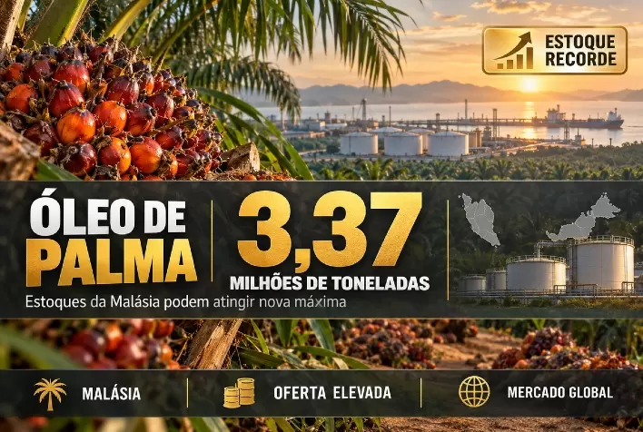 Óleo de palma: estoques da Malásia podem atingir recorde de 3,37 milhões de toneladas