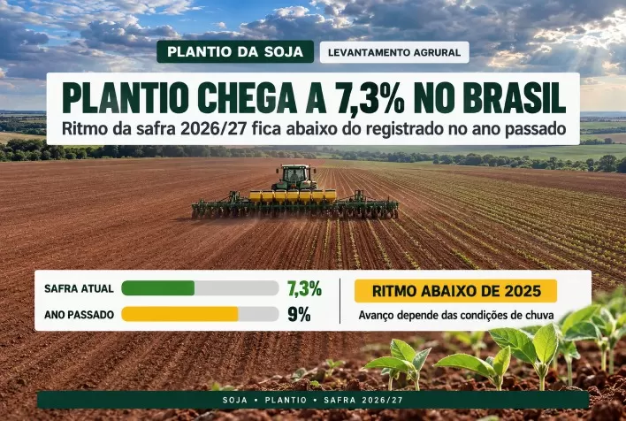 Plantio da soja chega a 7,3% no Brasil e fica abaixo do ano passado, aponta AgRural