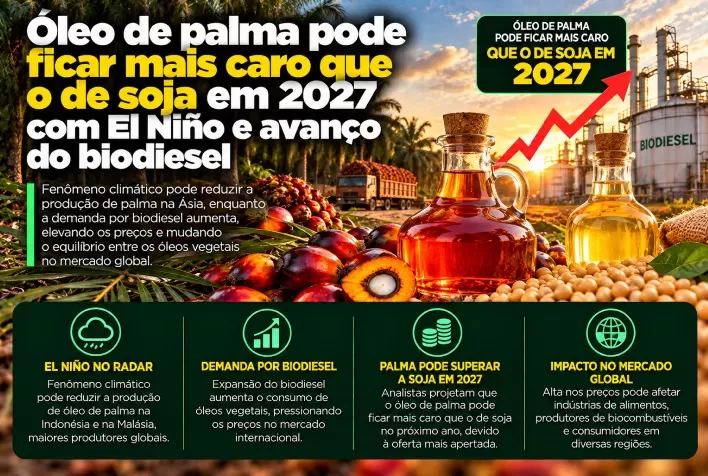 Óleo de palma pode ficar mais caro que o de soja em 2027 com El Niño e avanço do biodiesel