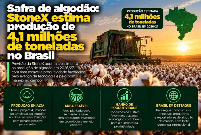 Safra de algodão: StoneX estima produção de 4,1 milhões de toneladas no Brasil