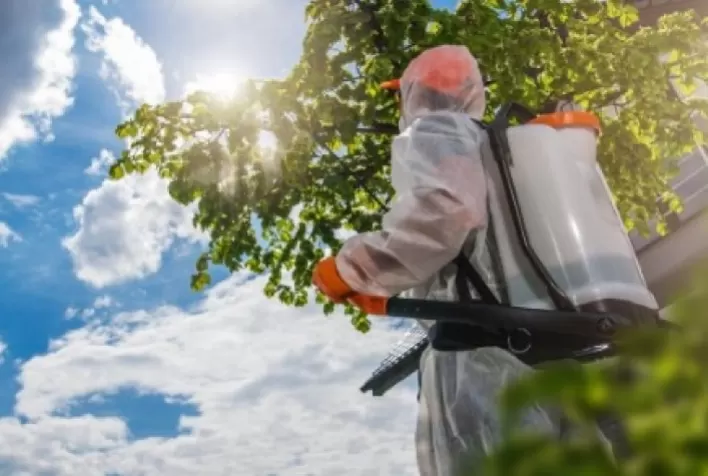 Belyan lidera vendas de fungicidas no Brasil em 2025 após avanço no Sul, aponta estudo