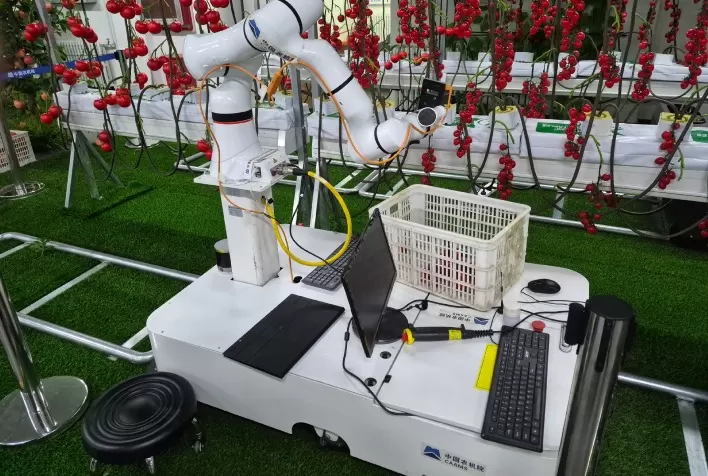 Embrapa e instituições chinesas firmam parceria para levar inteligência artificial à agricultura familiar