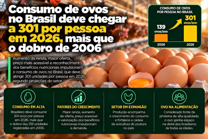 Consumo de ovos no Brasil deve chegar a 301 por pessoa em 2026, mais que o dobro de 2006