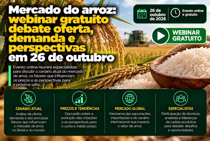 Mercado do arroz: webinar gratuito debate oferta, demanda e perspectivas em 26 de outubro