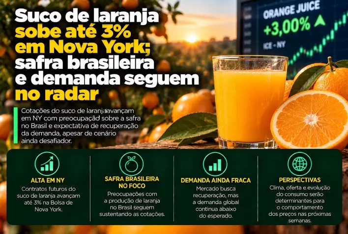Suco de laranja sobe até 3% em Nova York; safra brasileira e demanda seguem no radar