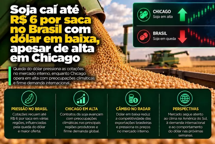 Soja cai até R$ 6 por saca no Brasil com dólar em baixa, apesar de alta em Chicago