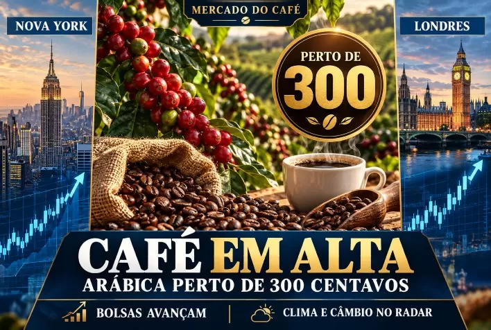 Café sobe em Nova York e Londres; arábica se aproxima de 300 centavos