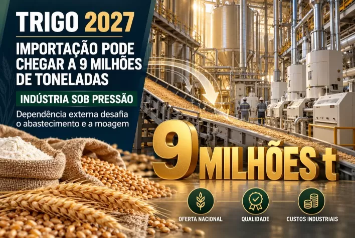 Importação de trigo pode chegar a 9 milhões de toneladas e desafia indústria para 2027