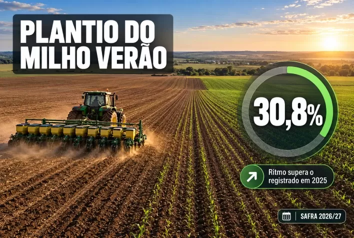 Plantio do milho verão 2026/27 chega a 30,8% e supera ritmo de 2025
