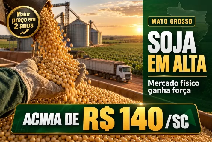 Soja supera R$ 140 por saca em Mato Grosso e alcança maior preço em dois anos