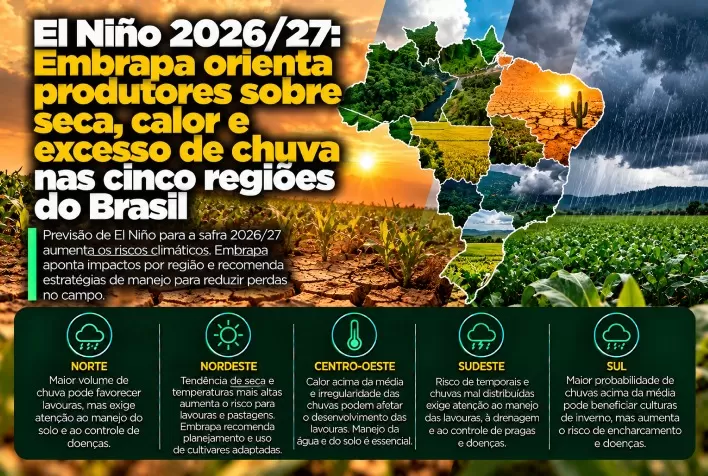 El Niño 2026/27: Embrapa orienta produtores sobre seca, calor e excesso de chuva nas cinco regiões