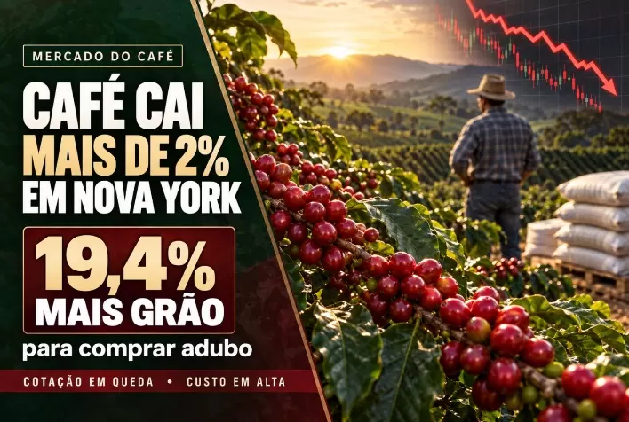 Café cai mais de 2% em Nova York; produtor precisa de 19,4% mais grão para comprar adubo