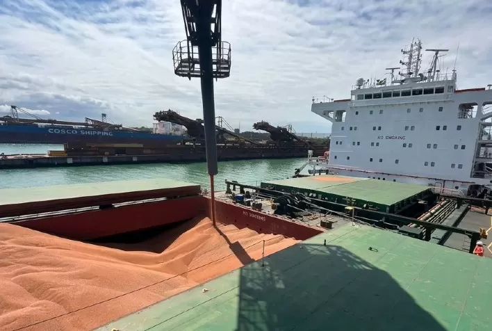 VLI inicia transporte ferroviário de sorgo e projeta movimentar mais de 800 mil toneladas em 2026