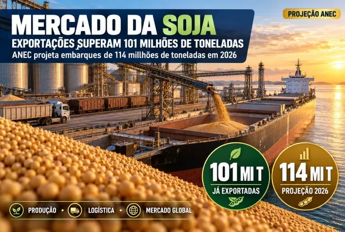 Exportações de soja superam 101 milhões de toneladas e ANEC projeta 114 milhões em 2026